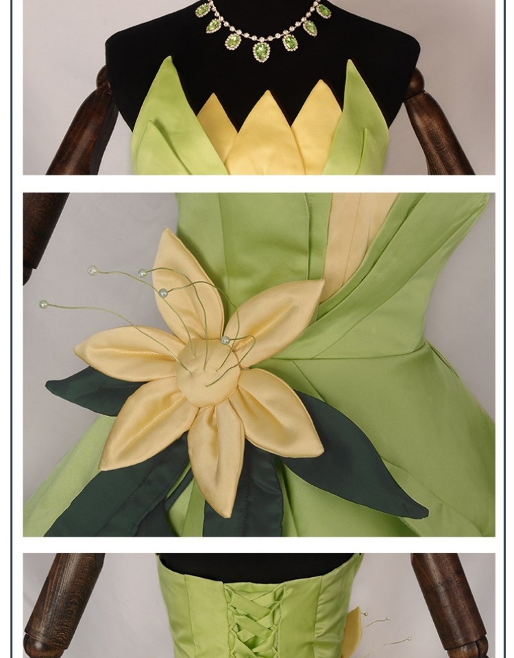 Costume da principessa Tiana,  - Men Accessories For Party recensione e prezzo