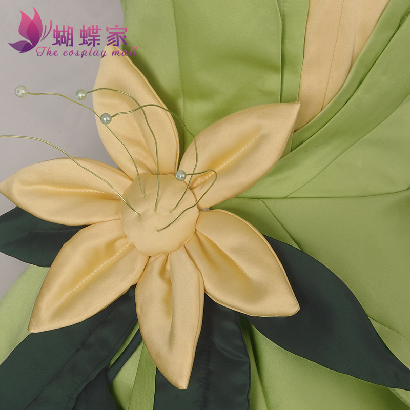 Costume da principessa Tiana,  - Men Accessories For Party recensione e prezzo