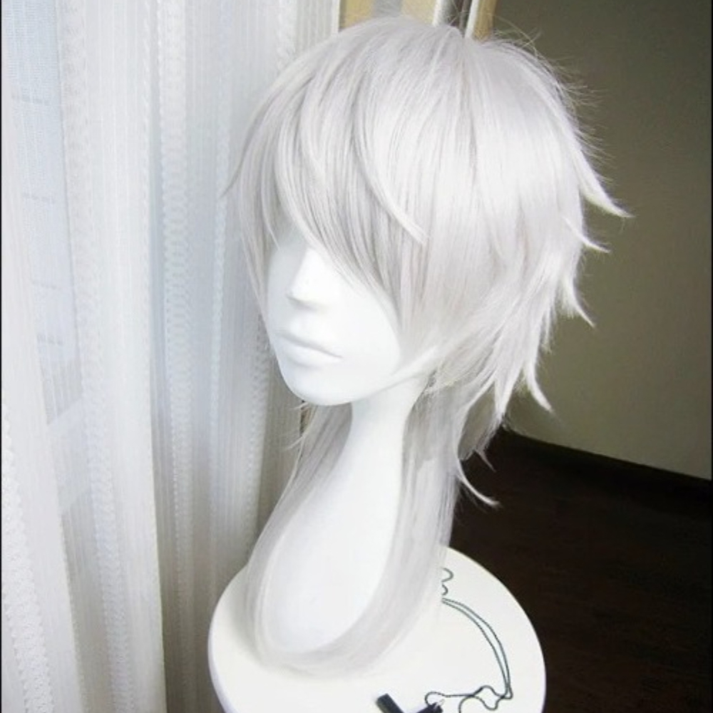 Parrucca per Cosplay Uomo e Do - Men Accessories Online recensione e prezzo