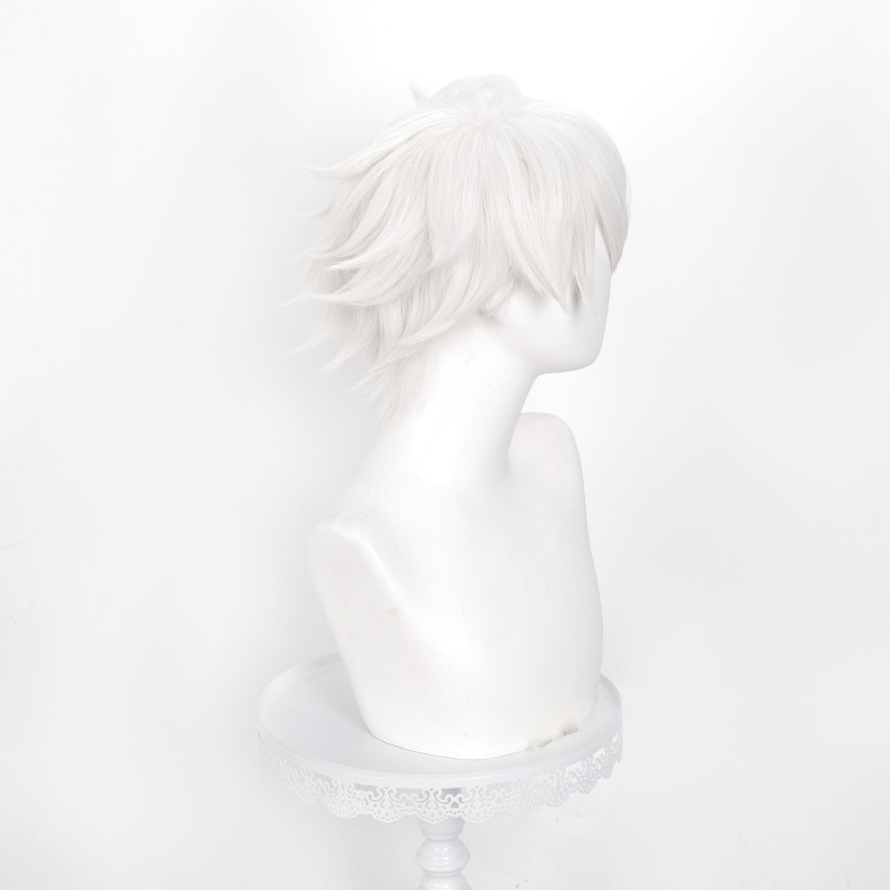 Parrucca Cosplay Anime Witch H - Men Accessories In Silver recensione e prezzo